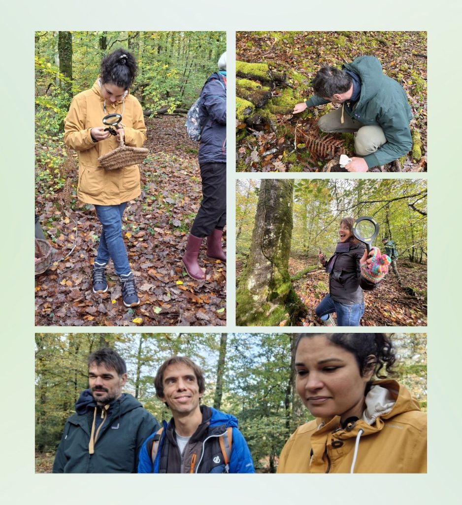 Exploration dans les bois