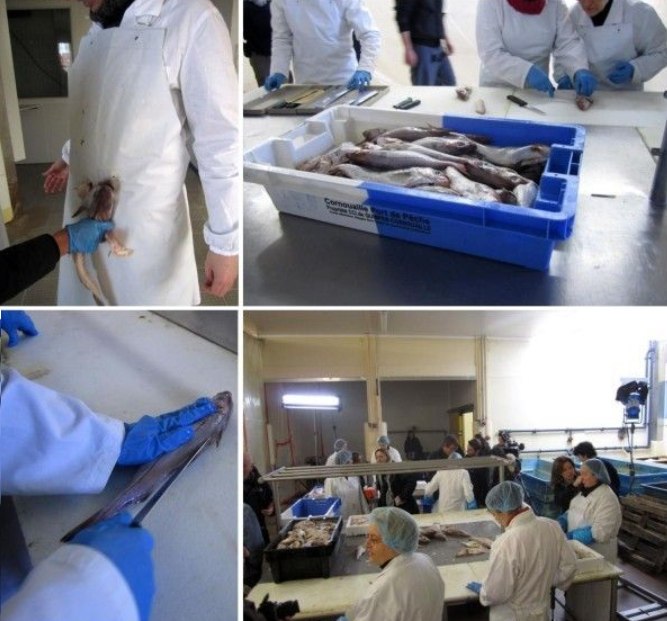 Photos du tournage du film Crawl