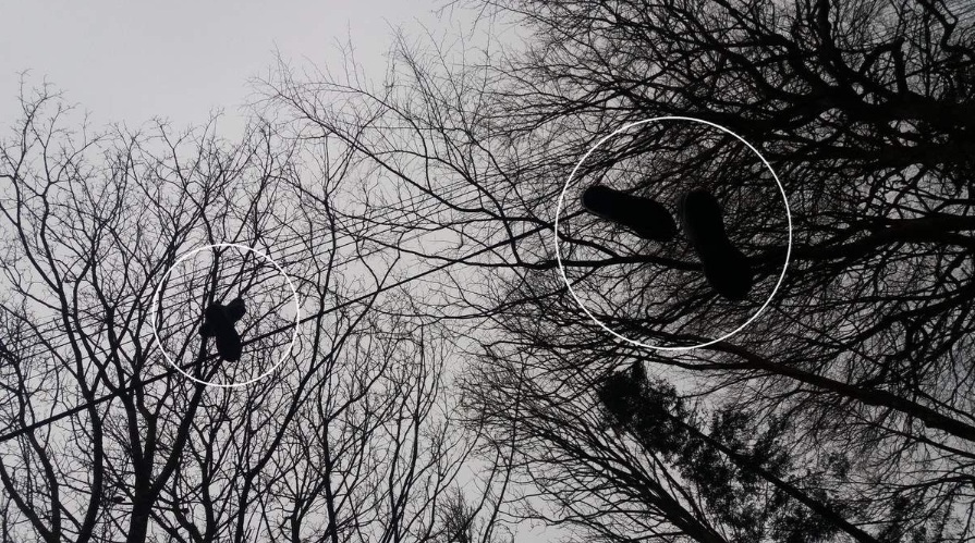 Chaussures suspendues à Landerneau
