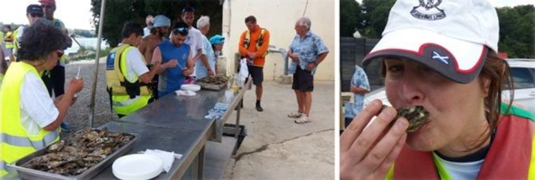 Dégustation d'huîtres