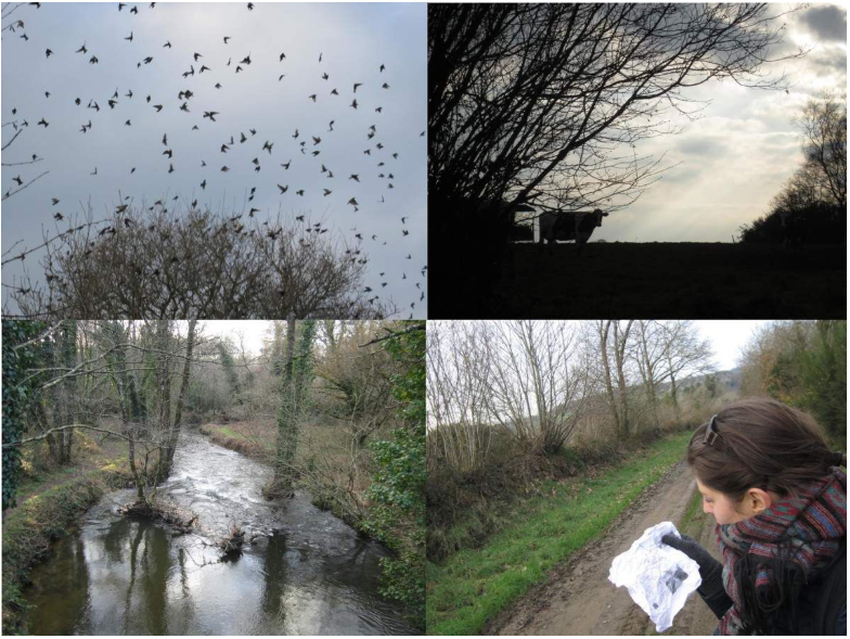 Photo de la campagne à Saint-Urbain