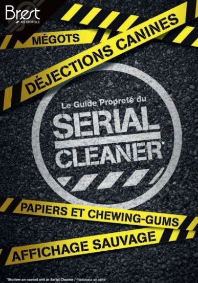 Affiche serial cleaner