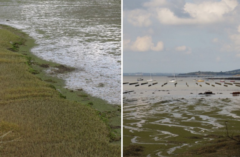 Fond de rade et ostréiculture